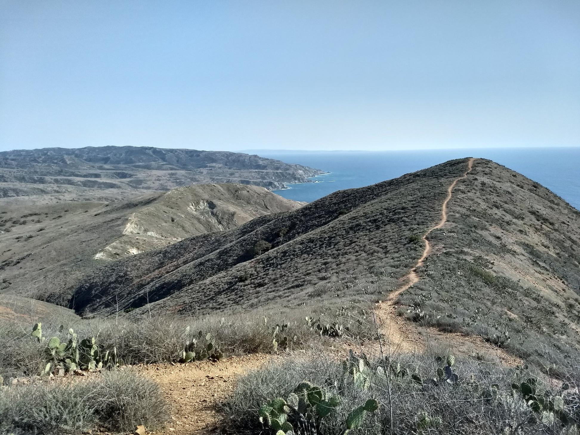 Trans-Catalina Trail